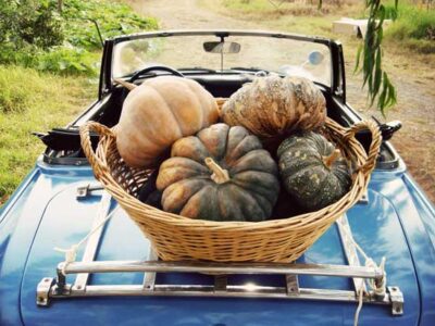 Hawaiian Pumpkins and Local Food Image